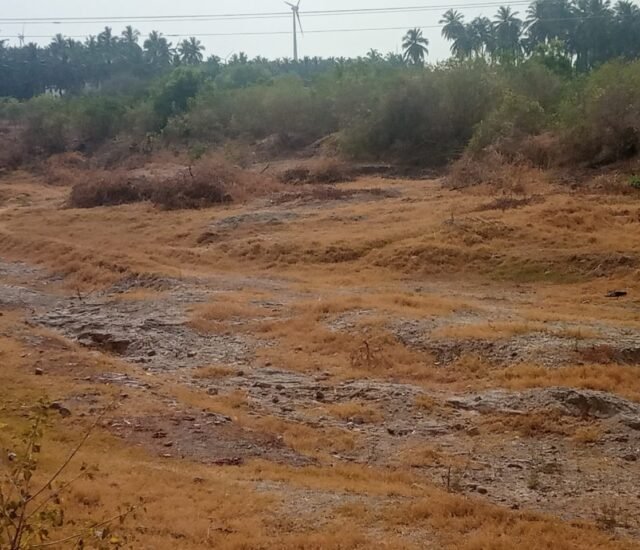 Restoration and Revitalization of Chinnakarai Lake 1